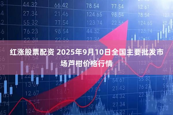 红涨股票配资 2025年9月10日全国主要批发市场芦柑价格行情