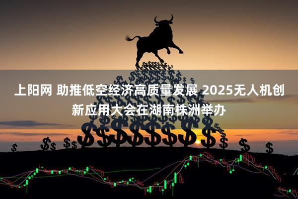上阳网 助推低空经济高质量发展 2025无人机创新应用大会在湖南株洲举办